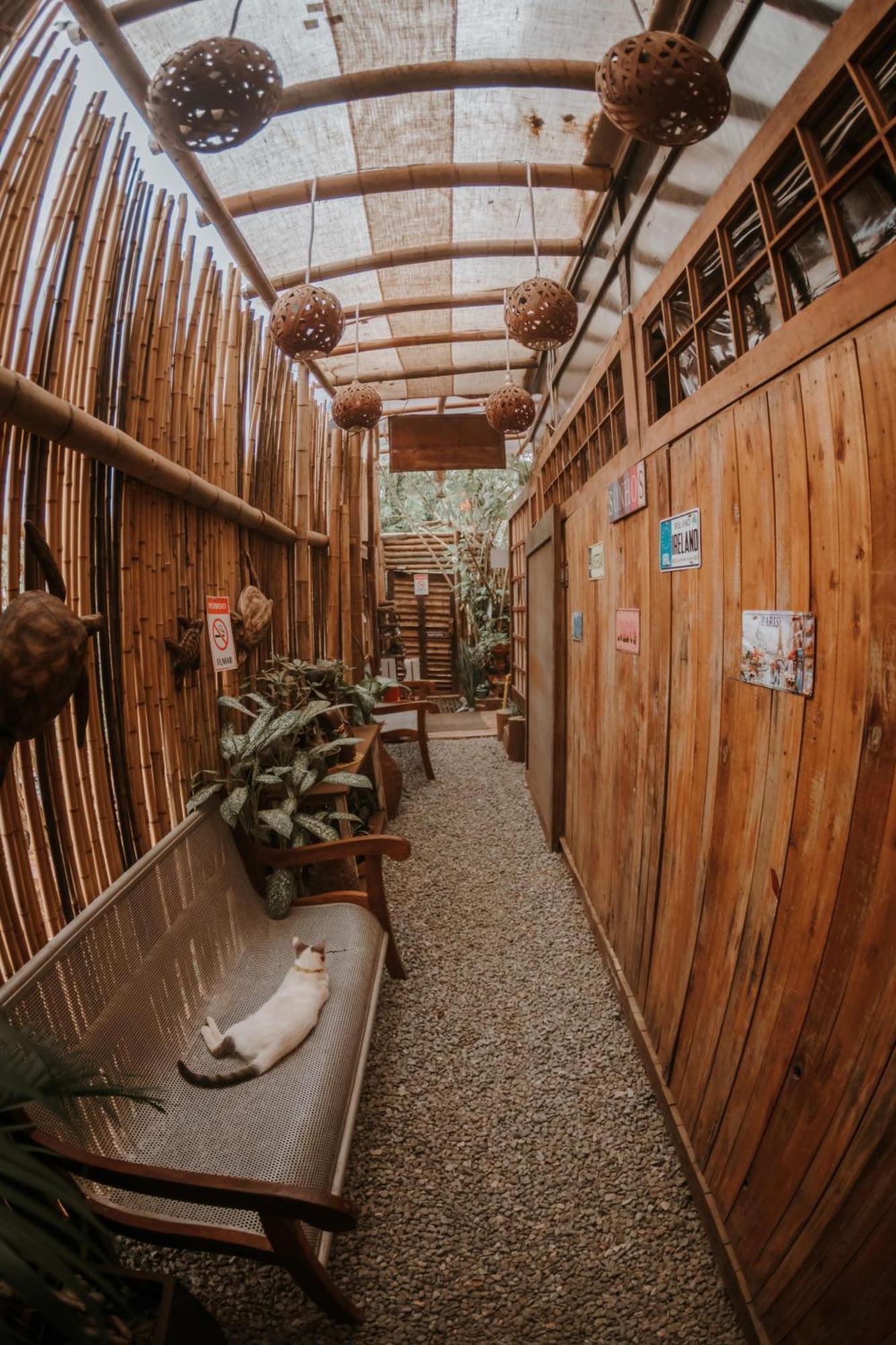 Doce Lar Hostel Noronha Fernando de Noronha Dış mekan fotoğraf